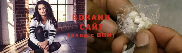 мдпв Заполярный