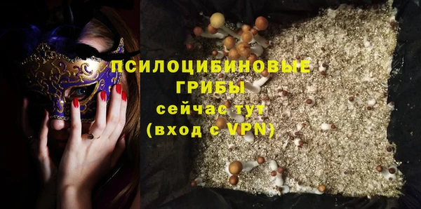 мдпв Заполярный