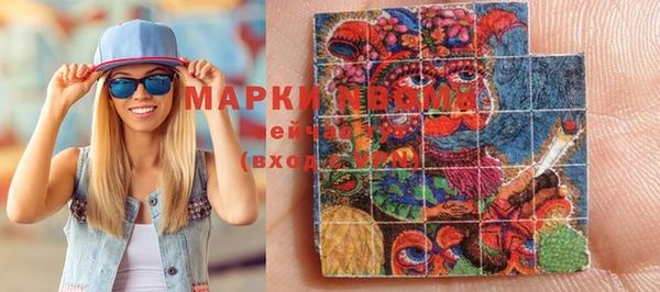 мдпв Заполярный