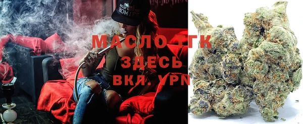мдпв Заполярный