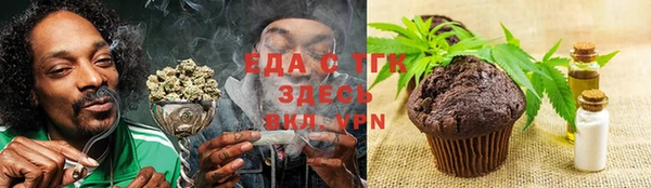мдпв Заполярный