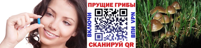 Псилоцибиновые грибы прущие грибы  даркнет сайт  Окуловка 